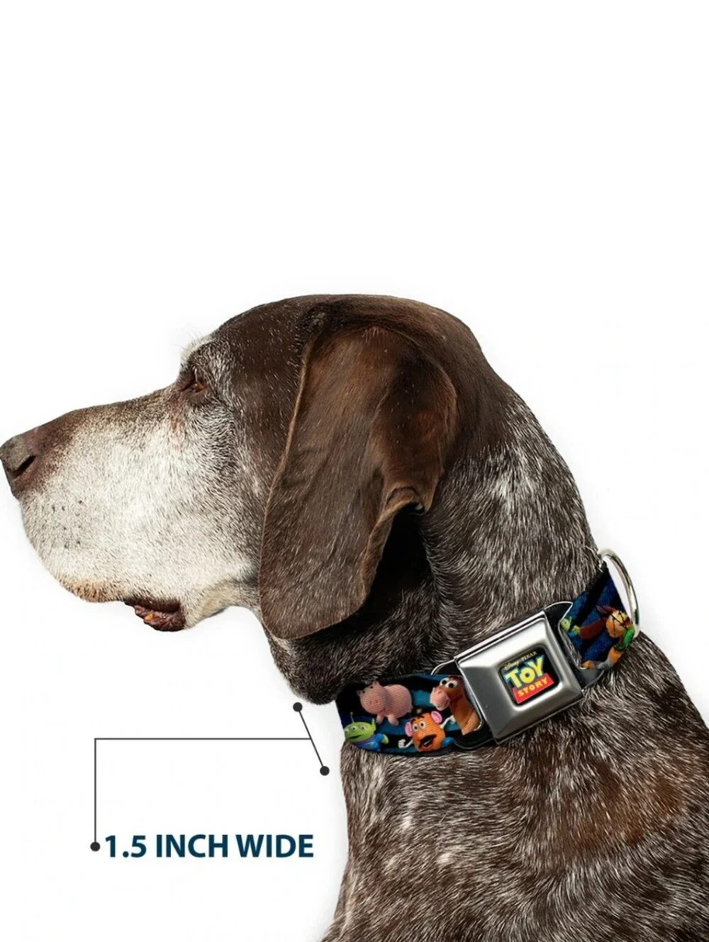 Buckle Down Disney Toy Story Collar And Leash Bundle